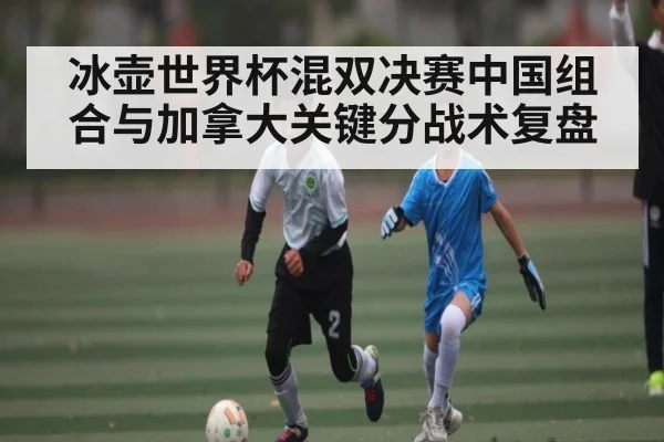 冰壶世界杯混双决赛中国组合与加拿大关键分战术复盘